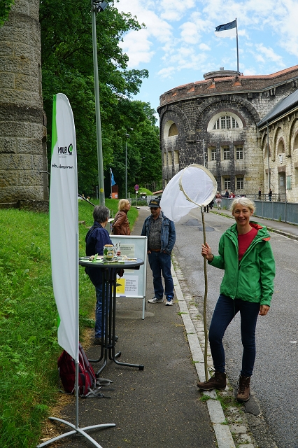 k TdF 2017 HP 10