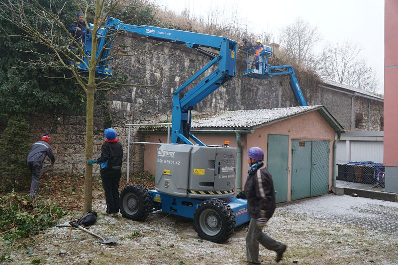 k Werk XXIV Efeu Entfernung Pionierstr 11 02 2017 18
