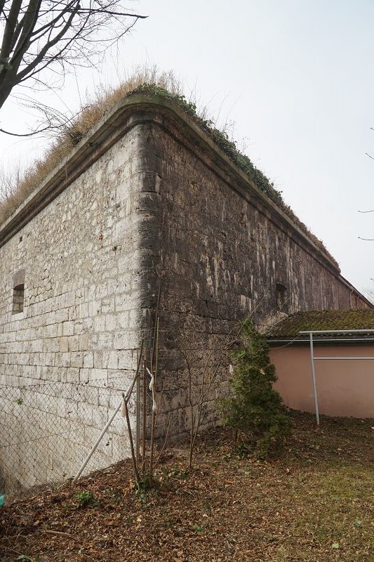 k Werk XXIV Efeu Entfernung Pionierstr 11 02 2017 214