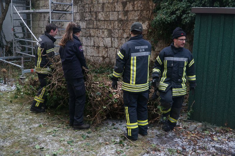 k Werk XXIV Efeu Entfernung Pionierstr 11 02 2017 65